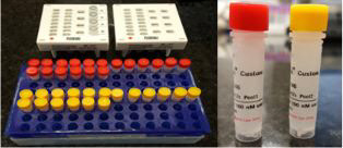 서울성모병원 NGS 급성백혈병 검사 패널(서울성모병운 제공)